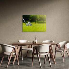Sklenený obraz - Golf (70x50 cm)