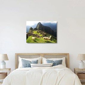 Sklenený obraz - Machu Picchu (70x50 cm)