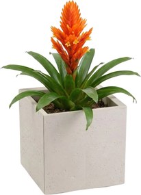 Sada 2 ks květináčů BETONIQUE 30x30/30x60 cm - výber z 4 prevedení