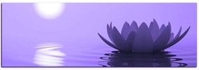 Obraz na plátne - Zen lotus - panoráma 5167VA (120x45 cm)