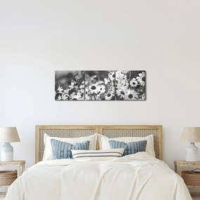 Obraz - Kopretiny (s hodinami) (90x30 cm)