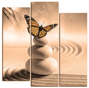Obraz na plátne - Motýľ na spa kamene - štvorec 3180FC (75x75 cm)