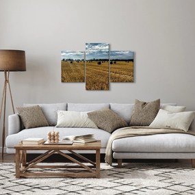 Obraz zozbieraného obilného poľa (90x60 cm)