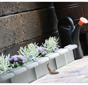 Prosperplast Záhradná palisáda Snail proti slimákom hnedá