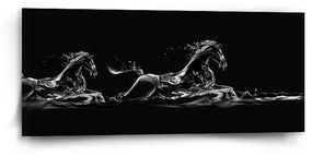 Sablio Obraz Vodný kôň - 110x50 cm