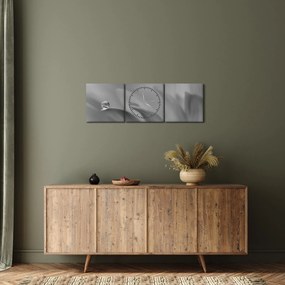 Obraz - Kvapka na kvete, čiernobiela (s hodinami) (90x30 cm)