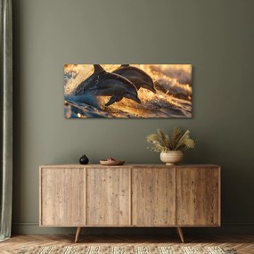 Obraz - Delfíny (120x50 cm)