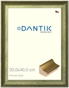 DANTIK rám na obraz 30x40 | Ferrosa zlatá (Plexi Čiré)