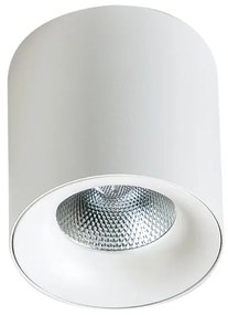 LED bodové svetlo Mane 20W biele