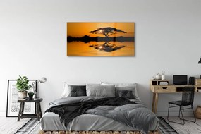 Obraz plexi Sunset tree 125x50 cm