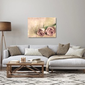 Sklenený obraz - Jemné ruže (70x50 cm)