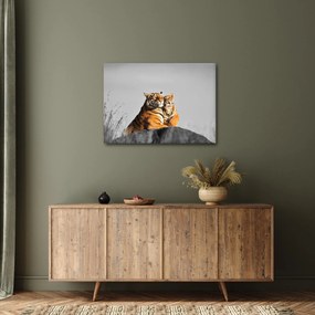 Obraz - Tigrice a jej mláďa, čiernobiely variant (70x50 cm)