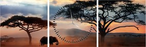 Obraz - Národný park Serengeti, Tanzánia, Afrika (s hodinami) (90x30 cm)