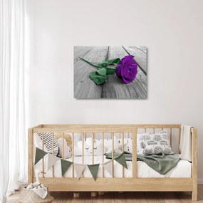 Sklenený obraz - Fialová ruža so zelenou stonkou (70x50 cm)