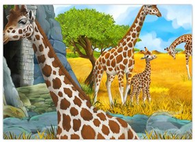Obraz - Žirafia rodina (70x50 cm)