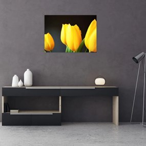 Sklenený obraz tulipánov (70x50 cm)