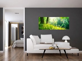 Obraz - Magická lúka plná púpav (120x50 cm)