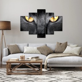 Obraz - Blízky portrét mačky (150x105 cm)