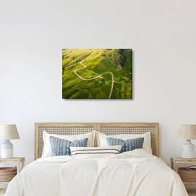 Obraz - Náhorná lúka (70x50 cm)