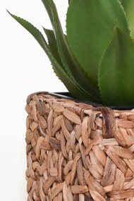 Kvetináč WILD, vodný hyacint, výška 40 cm, natur