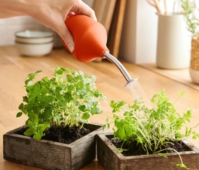 Pestovateľská záhradná sprcha