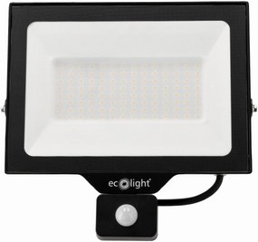 ECOLIGHT LED reflektor 100W 2v1 - studená biela + čidlo pohybu