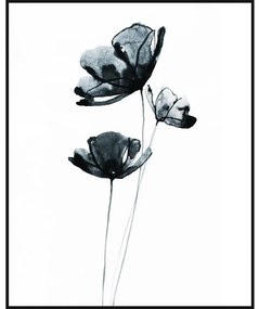 Deco Box 40x50 Čierne maky