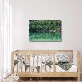Obraz - Ihličnany pri jazere (90x60 cm)