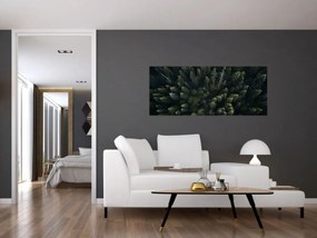 Obraz - Les (120x50 cm)