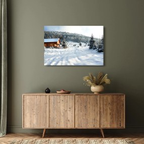 Obraz - Horská chata (90x60 cm)
