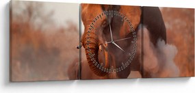 Obraz - Veľký slon africký (s hodinami) (90x30 cm)