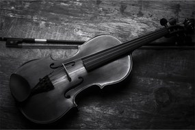 Obraz - Viola (90x60 cm)
