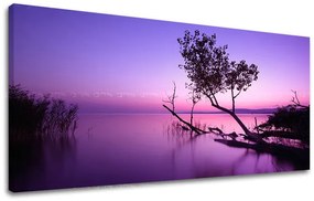 Obraz na stenu PANORÁMA ZÁPAD SLNKA 50x100 cm