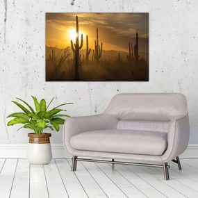 Obraz - Kaktusy Saguaro (90x60 cm)