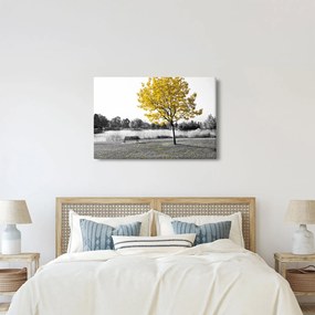 Obraz - Odpočinok v parku (90x60 cm)