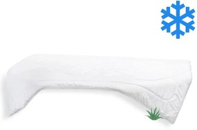 Brotex predĺžená prikrývka zimná Thermo Aloe Vera 140x220 1850g