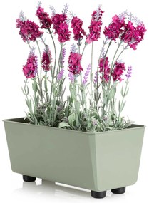 PLASTOVÝ KVETINÁČ SALVIA 28,5X17 CM ZELENÁ