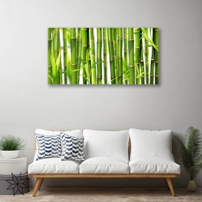 Obraz Canvas Bambusové výhonky listy bambus 120x60 cm