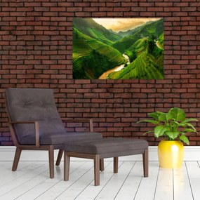 Obraz - Ryžové terasy Mu Cang Chai (90x60 cm)