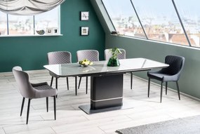 Jedálenská stolička COLIN sivá