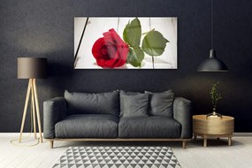 Obraz plexi Ruže kvet rastlina 120x60 cm