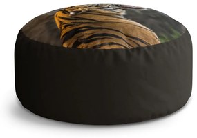 Sablio Taburet Revúci tiger: 38x48 cm