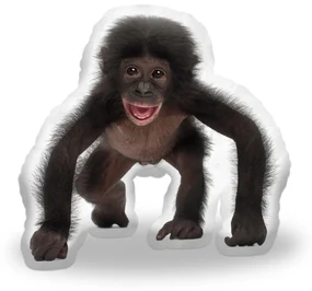 Sablio 3D vankúš Mláďa šimpanza