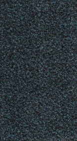 Čistiaca zóna Robust 137 zelená, šíře 135 cm, šíře 1,35 m,2m, zelená, pvc, chodba / predsieň, Rinos bv