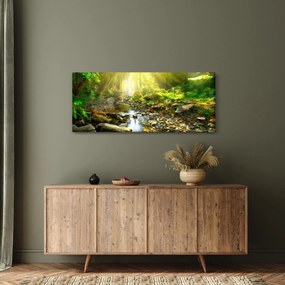 Obraz rieky v zelenom lese (120x50 cm)