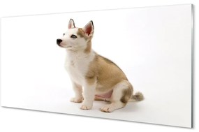 Sklenený obraz Sediaci malého psa 120x60 cm