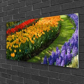 Skleneny obraz Kvety záhrada tulipány 140x70 cm