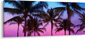 Obraz - Palmy v Miami (120x50 cm)