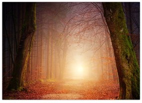 Sklenený obraz jesenného lesa v hmle (70x50 cm)