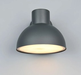 Nástenné vonkajšie svietidlo (výška 18,5 cm) Elbe – Trio